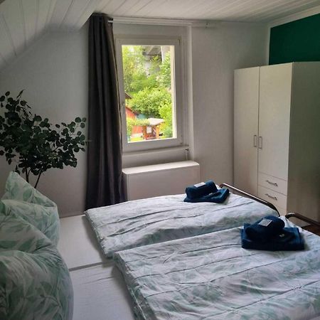 Hotel - Haus Biasca Gurtnellen Kültér fotó